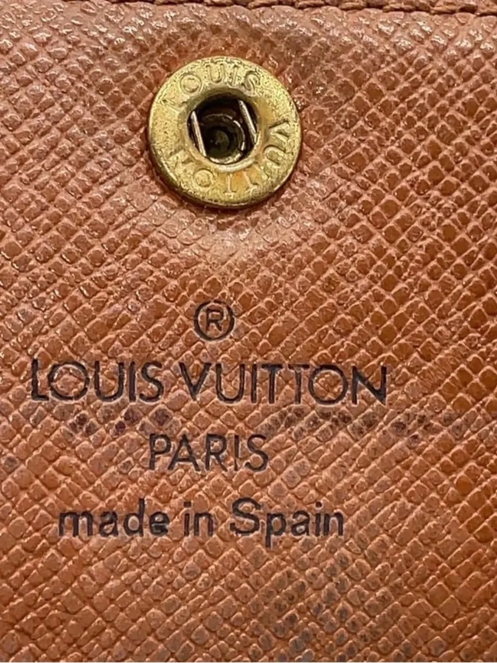 Louis Vuitton brand louis